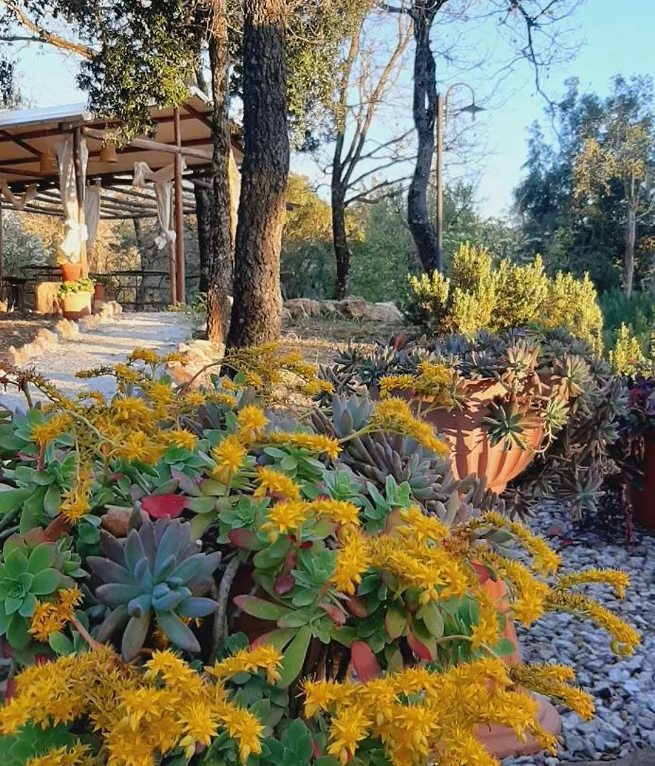 Luxury tent Glamping Serraiola Alta Frassine