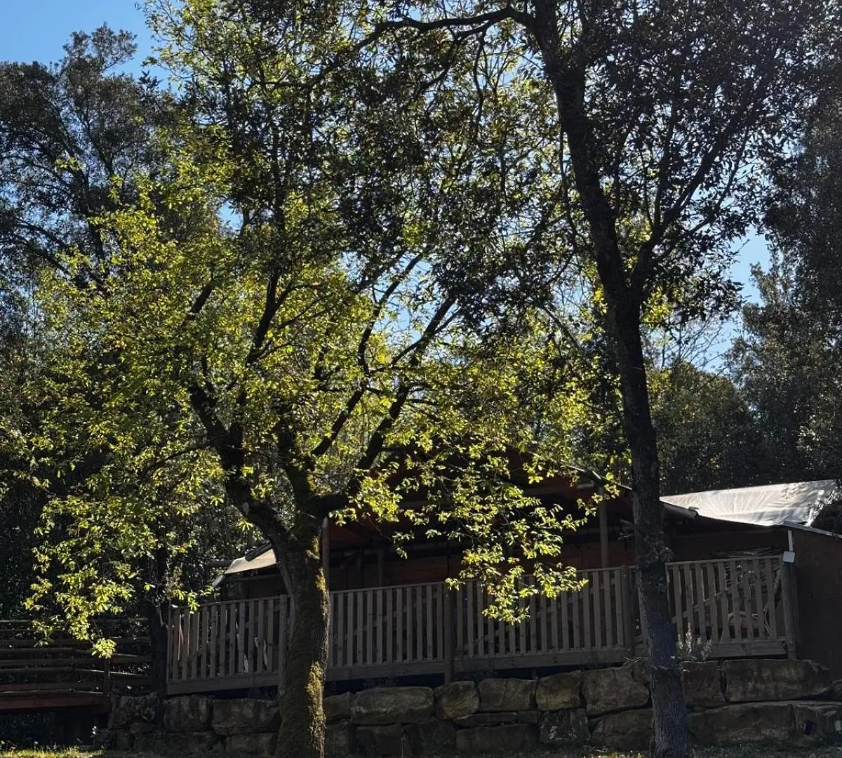 Glamping Serraiola Alta Frassine Luxury tent